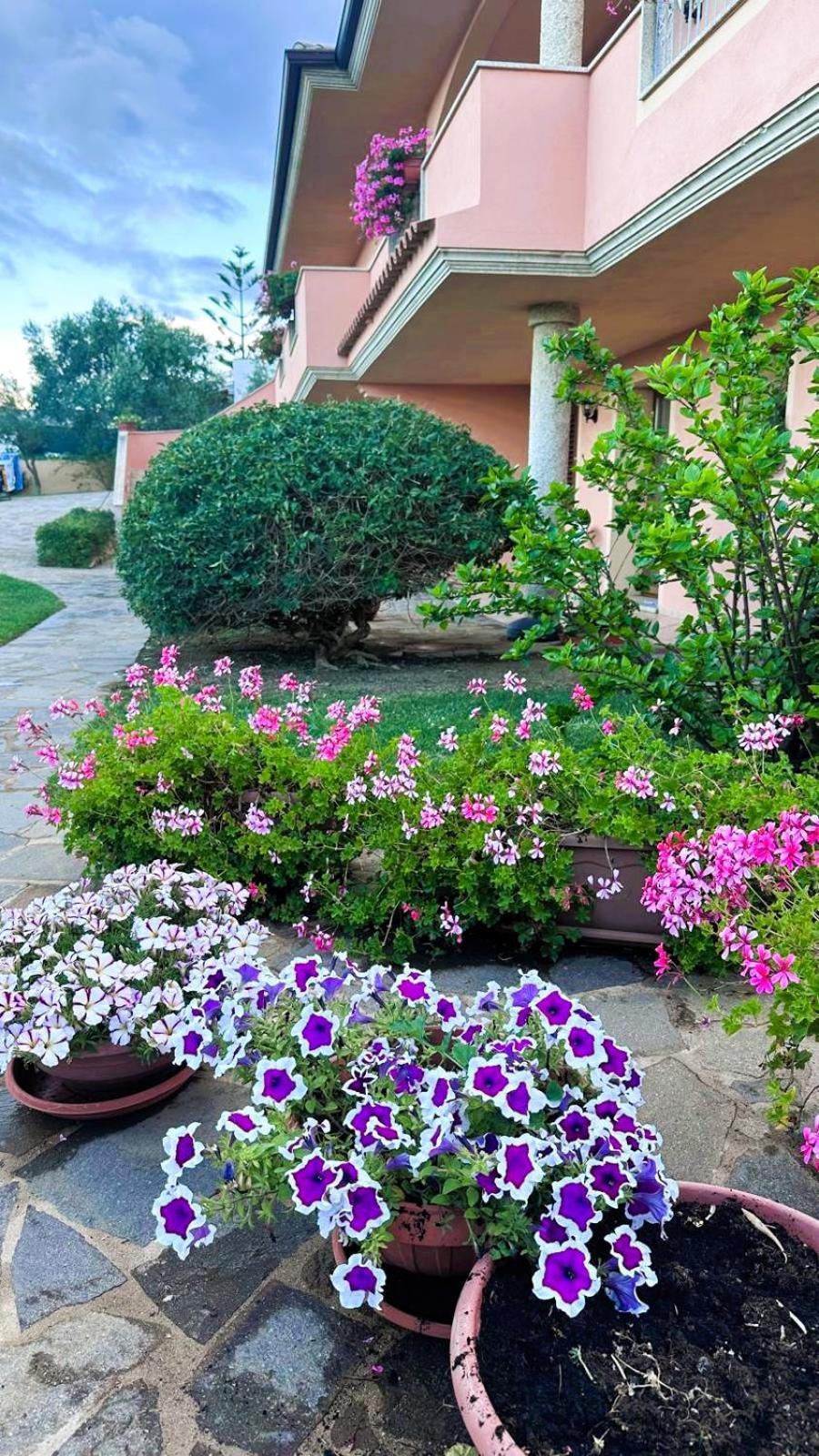 Apartament Stella Marina Olbia Zewnętrze zdjęcie